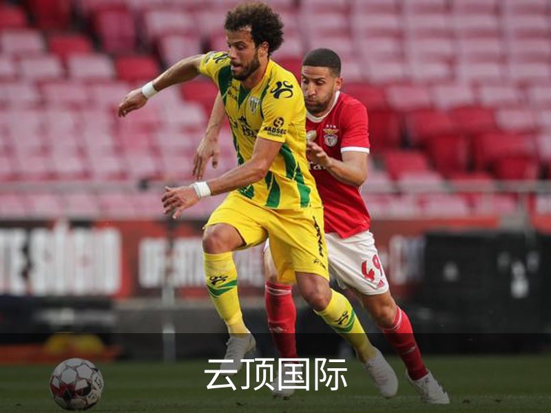云顶国际介绍